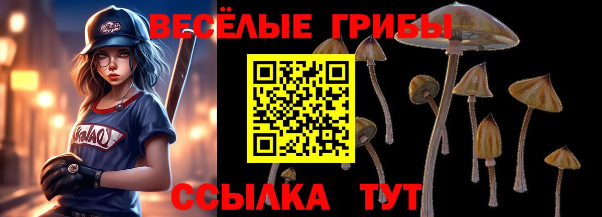 Галлюциногенные грибы ЛСД Рыбинск