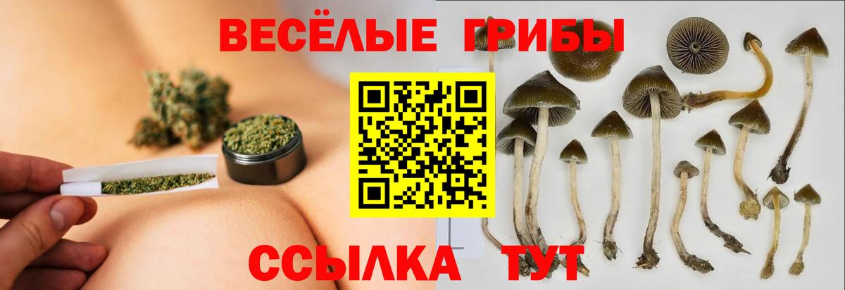 Рыбинск  Псилоцибиновые грибы мухоморы  Вход с VPN 